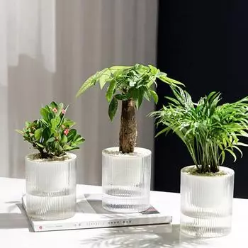 Пластиковый цветочный горшок Мини Прозрачная утолщенная ваза Автоматическое поглощение воды Бонсай Растения Держатель Балкон