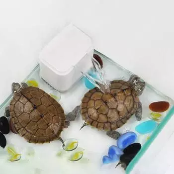 Пластиковый фильтр-насос для водопада с черепахой, бесшумный мини-фильтр для черепахи, 3 в 1, фильтр для черепахи для аквариума белый