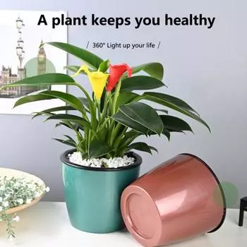 Пластиковый садовый контейнер для яиц динозавра с прочным дизайном и дренажными отверстиями A