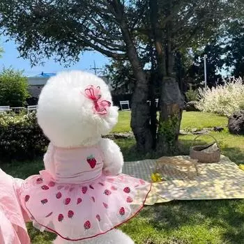 Платье для собак, милая юбка с узором клубники и ромашки, платья принцессы для щенков, милые юбки для чихуахуа-йорка, летняя одежда для домашних животных XS жёлтый