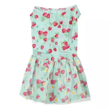 Платье для собак, удобное, дышащее, милое, цветочное, платье для щенков маленьких и средних собак, кошек, светло-зеленое XS