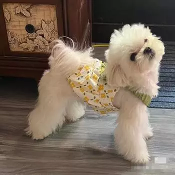 Платье Pet Flower Pumpkin Group Dog с бантом на ремне, летнее, милое платье принцессы в горошек, платье для щенка, кошки, собаки, одежда для маленьких собак XS