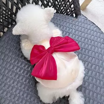 Платье принцессы с бантом для собак, летняя одежда для собак, кружевная тонкая юбка для щенков, костюм для девочек, чихуахуа, бишон, платья для кошек, одежда для собак 2025 XS белый