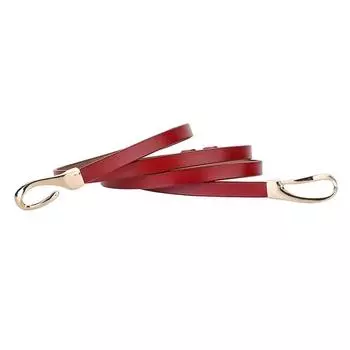 Платье с поясом Кожа Женский Сплав Застежка Гладкий Мода Формальный Декоративный Носить