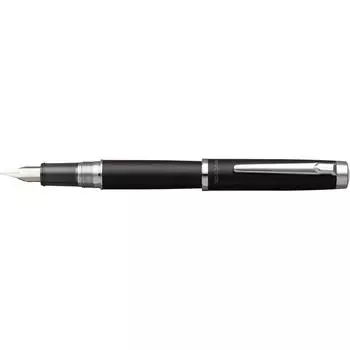 Платиновая перьевая ручка Перьевая ручка Procion Luster Black Mist Medium Point PNS-8000#1-3