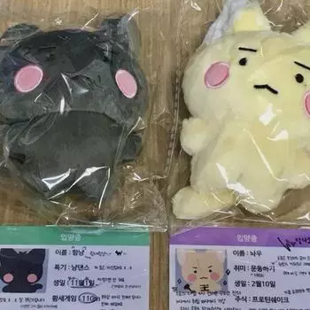 PLAVE Кукла Amway Amham Стоимость (с преимуществом предварительного заказа)