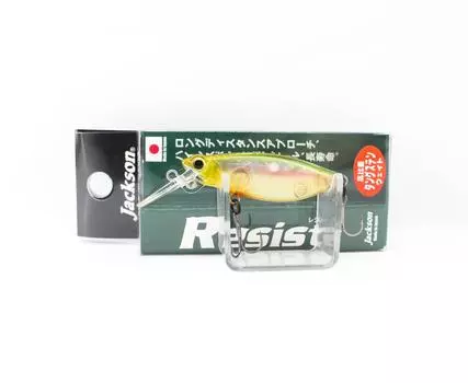 Плавающая приманка Jackson Resist 45 GDM (6650)