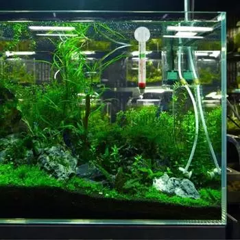 Плавающий аквариумный термометр, портативный аквариумный термометр, водонепроницаемый гидравлический манометр с присоской, прочный