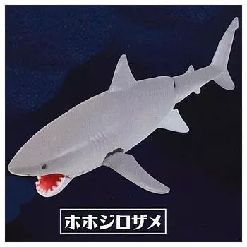 Playable creature figure series The Shark Whale shark Great White Gacha Gacha Capsule Toy discovered! [4. Shark] (single item)