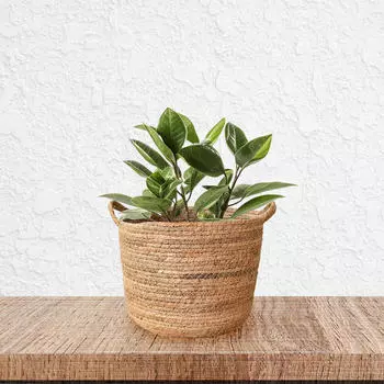 Плетеные корзины для растений, цветочные горшки, декоративные, большой емкости, держатели для хранения S