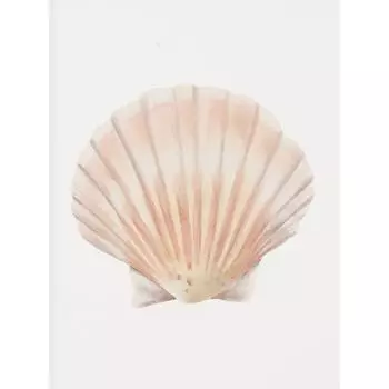 Пляжный краб раковина коралл морская звезда ракушка песок акварель постер печать на холсте прибрежное настенное искусство картина для гостиной домашний декор 21cm30cm NoFrame