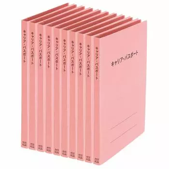 Plus File, специальный плоский файл для розового набора, переноска/паспорт, дети/студенты 91-388, 10 книг