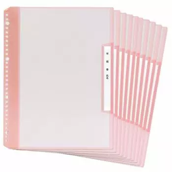 Плюс год название группы тип сменного блока прозрачный файл вертикально 6 карманов A4 розовый x 10 книг 84-823 RE-201CF