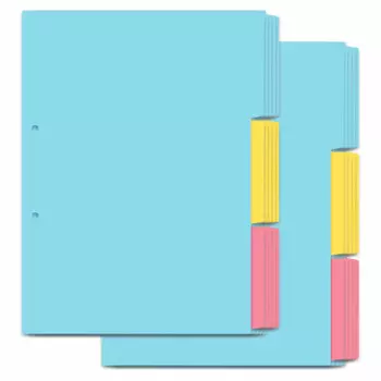 Plus index sheet PP 2 holes A4 vertical 3 threads 1 set FL-201IS 84-841E0