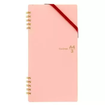 PLUS Plus Note Memo Pad Graph 5 мм Twin Ring A4 x Cosmos Ka.Crie 1/3 RT-650GC 77-912
