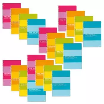 PLUS Ring Notebook ruled line 30 sheets 20 books Color Assorted Semi-B5 6.5mm RS-030-4P 76-801 5