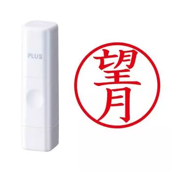 Plus Seal Name Cube White Mochizuki Script 60-122 IS-009NQ