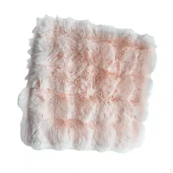 Plush Cushion Cover 43cmx43cm Compact Easy to Clean Multifunctional Pillowslip Pillowcase for Family Single Plush