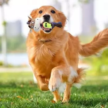 Плюшевая игрушка для домашних животных, жевательная пищалка для собак, игрушки со встроенным звуком, мультяшный медведь, обезьяна, корова, устойчивая к укусам, игрушка для чистки зубов Monkey