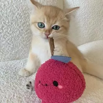 Плюшевая игрушка для кошек Silvervine, игрушки для кошек, которые можно грызть, забавная интерактивная игрушка для котят, игрушка для самовосстановления зубов у кошек