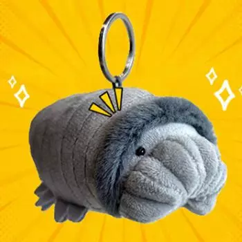 Плюшевая кукла, Игрушка в подарок, Мультфильм, Детская тряпичная кукла, Детская подарочная подушка