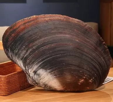 Плюшевая морская обнимашка живая мисо ракушка игрушка, существо, аквариум, ракушка, морепродукты, ракушка, подушка, подушка, реалистичная, пушистая, сшитая, двустворчатая, шидзими, моллюск,