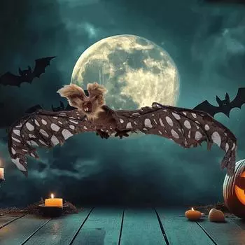 Плюшевая подвеска в виде летучих мышей, имитация тряпичной куклы, ужасное животное, длинноволосая летучая мышь, декоративный реквизит One Size чёрный