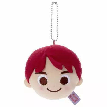 Плюшевое зеркало TinyTAN Jung Kook Высота примерно 11 см.