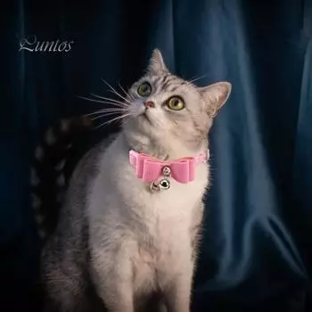 Плюшевый ошейник для кошек с бантом-колокольчиком, регулируемый размер, пряжка, легко носить, бант, ошейник для домашних животных, домашнее животное розовый