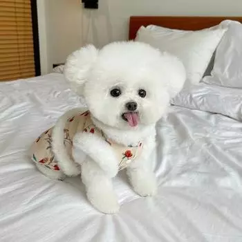 Плюшевый жилет с цветочным принтом для питомцев, осенне-зимнее новое плюшевое цветочное новогоднее платье, плюшевый мишка, собака, кошка, новогодний жилет с тягой, одежда для щенков XS