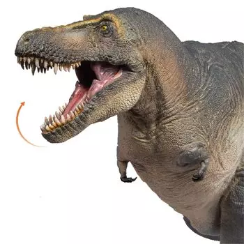 PNSO Рост серии Тарбозавр Страшный Ящер Тираннозавриды Плотоядный Динозавр Животное Реалистичная Фигурка ПВХ Игрушка Научная Художественная Модель Любитель Динозавров