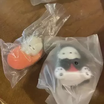 Почако Гача Партия