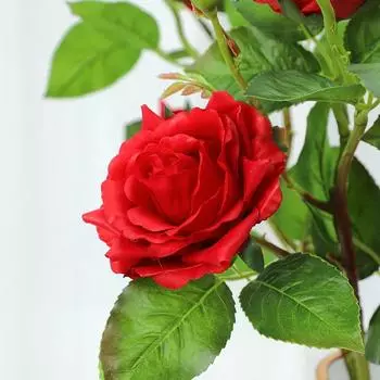 Почувствуйте влажность имитация 3 головок розы имитация цветов украшение для гостиной дома искусственные цветы белый