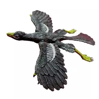 Под руководством Kodansha MOVE Фигурка динозавра Археоптерикс [Archaeopteryx] MV-D15