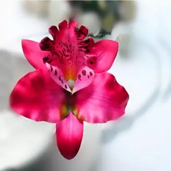 Подарочные заколки для волос, модные украшения, песчаный пляж, искусственный цветок, цветок ручной работы, женские головные уборы, заколки для волос с бабочкой и орхидеей, уникальные жёлтый