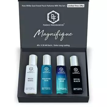 Подарочный набор духов Parag Fragrances Magnifique / Стойкие духи для мужчин и женщин / Набор из 4 предметов по 20 мл
