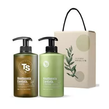 Подарочный набор с шампунем и средством от выпадения волос TS Mugwort