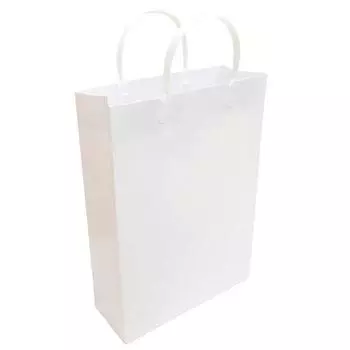 Подарочный пакет Ehime Shiko, ламинированный, формат А4, белый, 10 шт. в упаковке PPA4-WH-10P