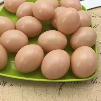 Поддельные яйца, 5 шт., игрушки с ручной росписью, ранние развивающие игрушки, искусственные яйца, детские игрушки, рисование, маленькие 5.5*4cm