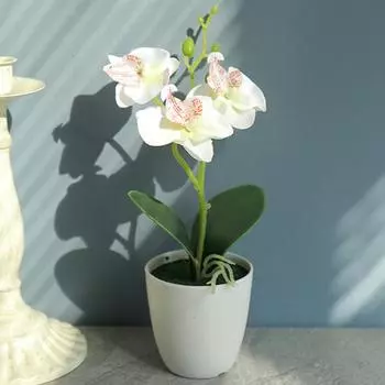 Поддельный бонсай, сохраняющий свежесть, многоразовый, устойчивый к ультрафиолетовому излучению, причудливый настольный искусственный шелк, бабочка, орхидея, цветок, декор для вечеринки