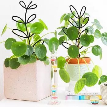 Поддержка растений Колья Маленькая металлическая садовая шпалера для цветочной розы Помидоры Пион Овощ 12,4-дюймовый высокий черный стеллаж