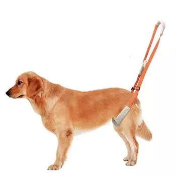 Поддержка задних ног домашних животных, стропа для собак, подъемная упряжь для пожилых собак с плохой устойчивостью, травма сустава бедра задней ноги оранжевый