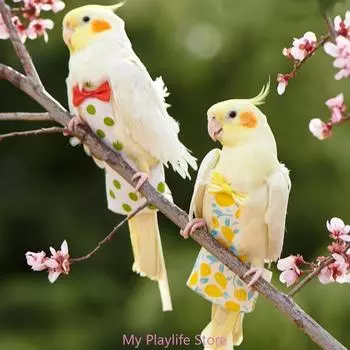 Подгузник для попугая, летный костюм, подгузник для птиц, одежда для попугаев, зеленых попугаев, корелл, конуре, маленьких и больших птиц XS земляничный