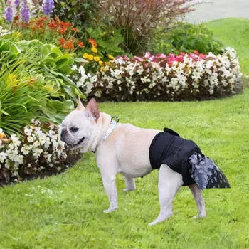 Подгузники для собак Водонепроницаемые какашки Коллекция для длительных путешествий Senior XS XS