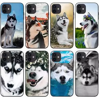 Подходит для iPhone16 Чехол для мобильного телефона Мягкий чехол Новый XR Animal Puppy Забавный чехол для мобильного телефона Husky Собаки iPhone12mini(5.4)