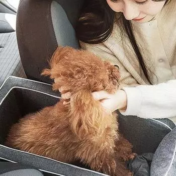 Подлокотник для автомобильного сиденья, консоль, сиденье для домашних животных, переносное сиденье с подлокотником, нескользящее сиденье для защиты собак с охлаждающим ковриком для домашних животных United States