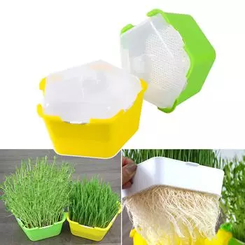 Поднос для выращивания ростков фасоли, стартовое блюдо для семян, теплица, гидропоника, растение для прорастания кошачьей травы, детский горшок для выращивания, ящик для выращивания