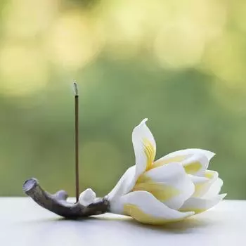 Подставка для благовоний в виде палочки магнолии из керамики, сделанная вручную, элегантный держатель для благовоний для украшения дома белый