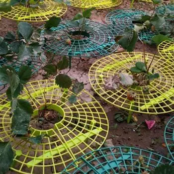 Подставка для клубники, каркасный держатель, стойка для посадки на балконе, опора для фруктов, садовая клубника 10pcs