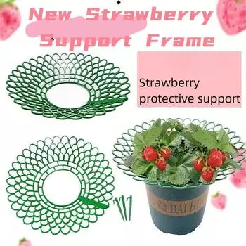 Подставка для лотка для посадки клубники Садоводство Горшечные фрукты Семья зеленых растений Сращивание против гниения фруктов Полка для поддержки Стойка для поддона для овощей в горшках S-1PCS